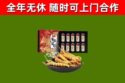平谷区回收冬虫夏草价格